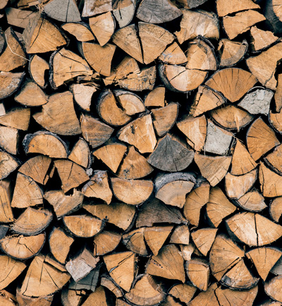 Brennholz richtig im Garten lagern